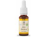 Lemon Pharma Bach NO.35 White Chestnut 20ML