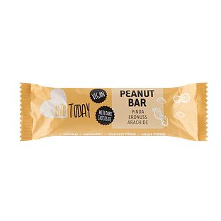 BioToday Pindareep Biologisch 40GR