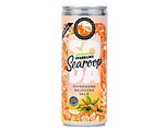 Searoop Soda Biologische Sparkling Duindoorn Meidoorn Salie 250ML