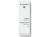 Dr. Hauschka Lipstick Caralluma 14 4,1GR