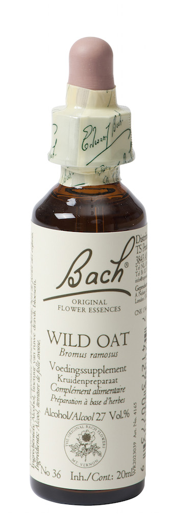 Bach Flower Remedies Ruwe Dravik 36 afbeelding