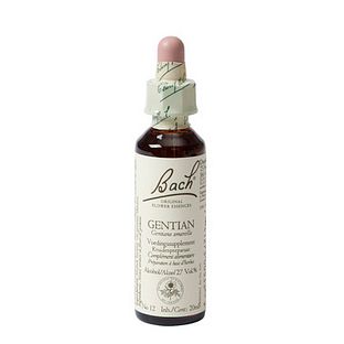 Bach Flower Remedies Gentiaan 12 20ML