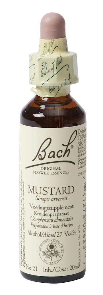 Bach Flower Remedies Herik 21 afbeelding