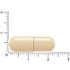 Vitakruid DIM Builder Capsules 60VCP Afmeting capsule