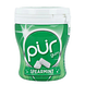 Pur Gum Spearmint 70GR