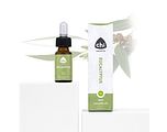 Chi Natural Life Eucalyptus Etherische Olie Bio 10ML Chi Natural Life Eucalyptus Etherische Olie Bio 10ML