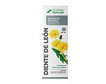 Soria Natural Taraxacum Officinalis XXI Druppels 50ML Soria Natural Taraxacum Officinalis XXI Druppels 50ML