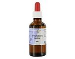 Holisan Shadvindu Nasya 50ML