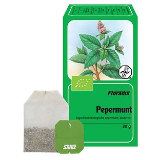 Salus Thee Pepermunt Zakjes 15ZK