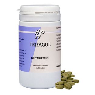 Holisan Trifagul Tabletten 120TB