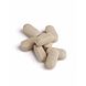 Biotics C Plus (1000mg) Tabletten 100TB