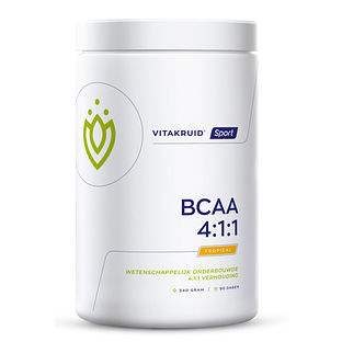 Vitakruid BCAA 4:1:1 Leucine Isoleucine Valine 540GR