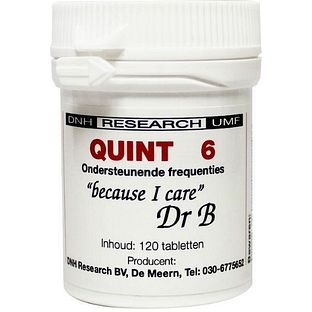 DNH Research DNH Quint 06 Tabletten 120TB