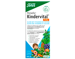 Salus Floradix Kindervital Fruity 250ML