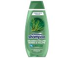 Schauma Shampoo Kruiden & Volume 400ML Schauma Shampoo Kruiden & Volume 400ML