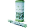 Green Tree Wierook White Sage 20ST