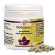 Holisan Guggulu Capsules 60CP Holisan Guggulu Capsules 60CP