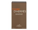 Hermes Hermès Terre D'Hermès Aftershave Lotion 100ML