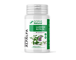 Soria Natural Luzerne Alfalfa Capsules 80CP