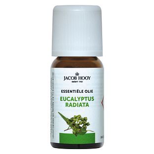 Jacob Hooy Essentiële Olie Eucalyptus Radiata 10ML