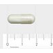 Orthica Nicotinamide 500 Capsules 60VCP Afmeting capsule