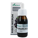 Soria Natural Ribes Nigrum XXI Extract 50ML Verpakking met flesje ervoor Soria Natural Ribes Nigrum XXI Extract 50ML Verpakking met flesje ervoor