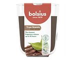 Bolsius True Scents Oud Wood Geurkaars 1ST