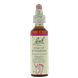 Bach Flower Remedies Vogelmelk 29 20ML Bach Flower Remedies Vogelmelk 29 20ML
