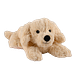 Warmies Golden Retriever 1ST