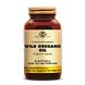 Solgar Wild Oregano Oil Softgel 60SG