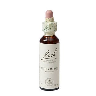 Bach Flower Remedies Hondsroos 37 20ML