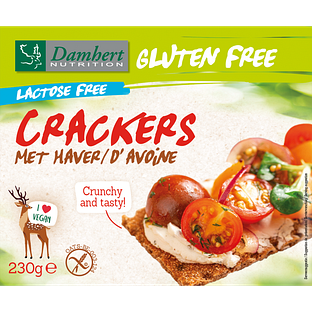 Damhert Gluten Free haver Crackers Lactose Free 230GR