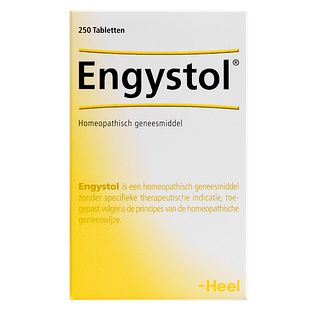 Heel Engystol Tabletten 250TB
