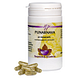 Holisan Punarnava Capsules 60CP