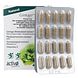 Activo Ginkgo Plus Capsules 60CP Verpakking met capsule strip ernaast