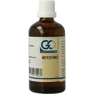 GO Gemmo Oplossingen Intestino Bio Tinctuur 100ML GO Gemmo Oplossingen Intestino Bio Tinctuur 100ML