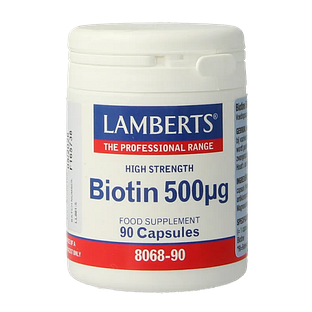 Lamberts Biotine 500 mcg Capsules 90VCP