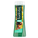 Badedas Revitalizing Showergel Wild Forest Chestnut & Pine 600ML Badedas Revitalizing Showergel Wild Forest Chestnut & Pine 600ML