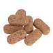 Biotics Pneuma-Zyme Tabletten 100TB