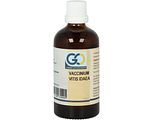 GO Gemmo Oplossingen Vaccinium Vitis Idaea Bio Tinctuur 100ML