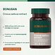 Bonusan Crocus Sativus Extract Capsules 60CP Bonusan Crocus Sativus Extract Capsules 60CP