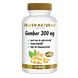 Golden Naturals Gember 300 mg Capsules 90VCP Golden Naturals Gember 300 mg Capsules 90VCP