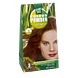Hennaplus Colour Powder 51 Hazelnut 100GR