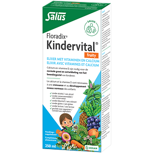 Salus Floradix Kindervital Fruity 250ML