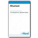 Heel Rhumeel Tabletten 250TB