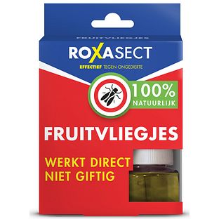 Roxasect Fruitvliegjes 1ST