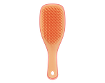 Tangle Teezer Detagling Mini Haarborstel 1ST
