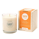Soylites Soycandle Entice - Ginger, Cinnamon, Grapefruit, Sweet Orange & Pepper 220ML Entice Geurkaars met verpakking