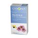 Cydonia Propolis, Aloe Vera, Echinacea Vaginaaltabletten 12ST Cydonia Propolis, Aloe Vera, Echinacea Vaginaaltabletten 12ST