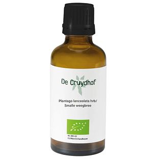 Cruydhof Plantago Lanceolata Hrb/Smalle Weegbree Druppels 50ML Cruydhof Plantago Lanceolata Hrb/Smalle Weegbree Druppels 50ML